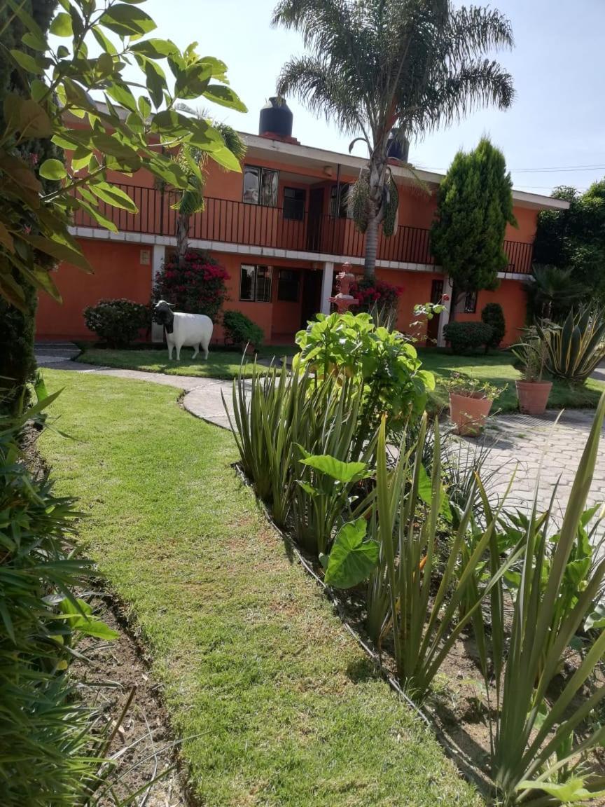 Villas Hotel צ'ולולה מראה חיצוני תמונה
